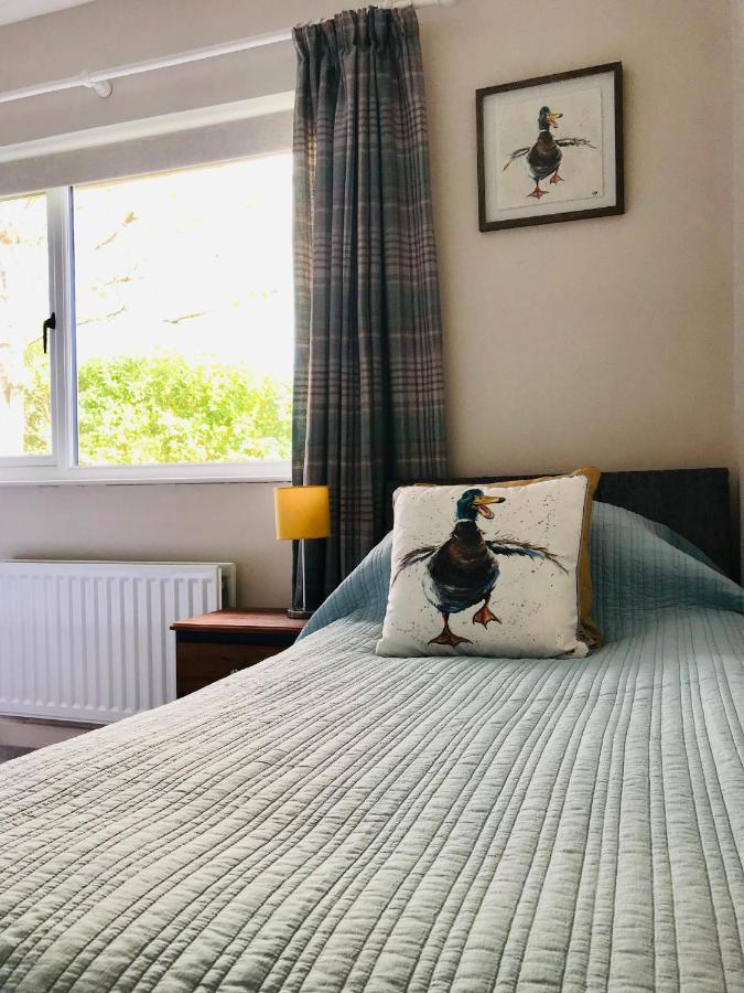 Eden Cottage Lisburn Bagian luar foto