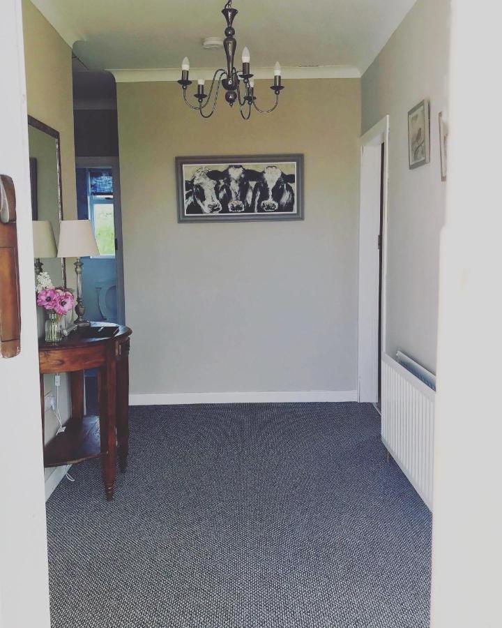 Eden Cottage Lisburn Bagian luar foto